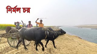 Nirmol Char||ভারত বাংলাদেশ সীমান্তের পদ্মা নদীর চর ||সেরা পিকনিক স্পট ||Murshidabad tourist Spots