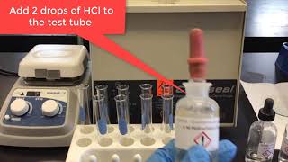 CH181 Qulaititave analysis of group 1 cations