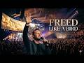 My Soul Escaped Like A Bird | Powerful Worship Anthem of Freedom in Christ