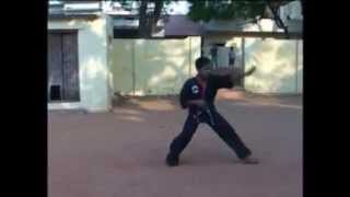 Shaolin Kung-fu Snake Style Master India Best Wushu Monk in 1999 Demo Nellore Martial arts