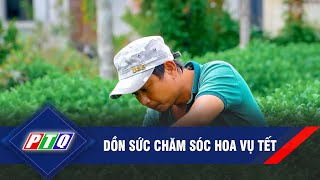 Dồn sức chăm sóc hoa vụ tết | PTQ