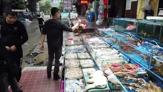 Mercado en China probable ORIGEN del CORONAVIRUS