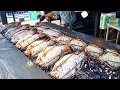 100's Sold Per Night! Thai Chef Cooking The BEST Salt Crusted Grilled Fish - Thai Street Food