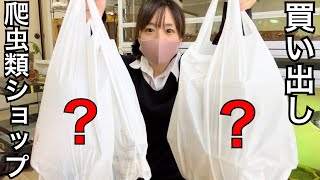 生き物30匹以上飼育する女の月1でまとめ買いする物を一挙公開