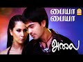 Paiya Paiya பையா பையா - HD Video Song - | Alai | Silambarasan | Trisha | Vidyasagar