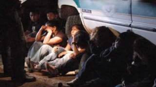 Cynopsis 01/13/10