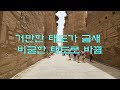 이집트 최고 최대 신전 카르낙 karnak temple 의 모든 것 룩소르 서안 주민들이 도굴꾼 무례한 호텔 보안요원에게 소심한 복수 이집트 egypt 자유 여행 6