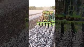 कापूस वेचणी मशीन #cotton #cottonmachine