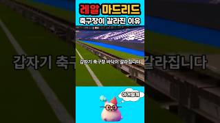 [400만] 레알 마드리드 잔디관리 클라스 ㅎㄷㄷ