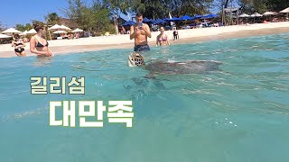 세계여행 ep63 🇮🇩 대가족 모두 대만족한 길리섬, 머리만 넣으면 거북이가