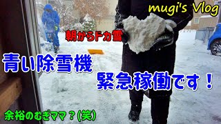 朝からいきなりドカ雪、青い除雪機緊急稼働です！我が家の雪捨て場・・今年は拡張します！ (笑）