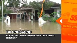 TULUNGAGUNG - Banjir, Puluhan Rumah Warga Desa Demuk Terendam