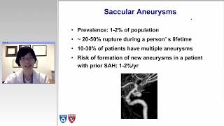 Nuts and Bolts of Treatments for Brain Aneurysms (Preview)