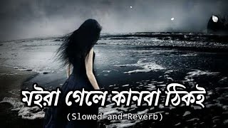 মইরা গেলে কানবা ঠিকই | (Slowed And Reverb) | Moira Gele Kanba Thiki | Sathi Khan | Sorry Priyo