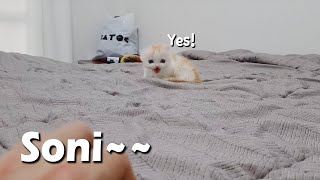 When I Call My Kitten, He Says "Yes" and Comes to me