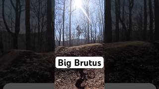 Finally hitting Big Brutus #mtb #bigjumps #viralvideo