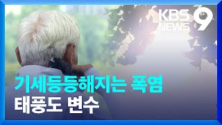 ‘폭염’ 갈수록 기세 더해, 태풍도 폭염 강화 [9시 뉴스] / KBS  2023.07.31.