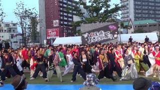 総踊り～黒崎よさこい祭り～曲里の松並木公園会場