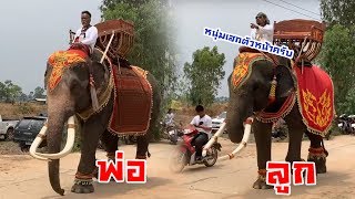 Long ivory เชื่อไม่ทิ้งเเถว… ทำไมไม่กลับบ้าน?? พลายหนุ่มเสกกับพลายแชมซั่น