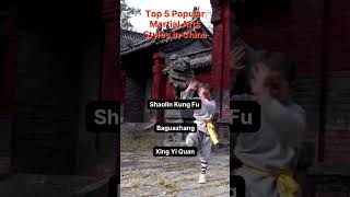 Top 5 Popular Martial Arts Styles in China