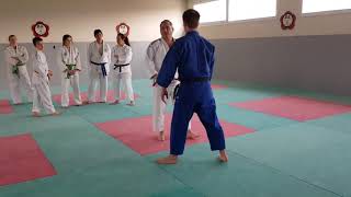 Stage jujitsu Frédéric Bourgoin