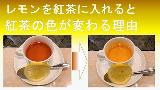 レモンを入れると、紅茶の色が変わる理由（1分バージョン）