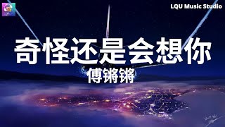 傅锵锵 - 奇怪还是会想你 【和你每段回忆都结成了冰 一针一针刺进我心里】动态歌词版