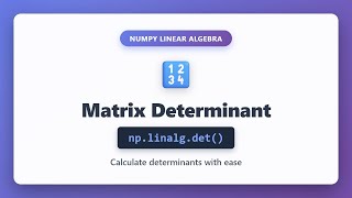NumPy Matrix Determinant Tutorial | np.linalg.det() Complete Guide for Beginners