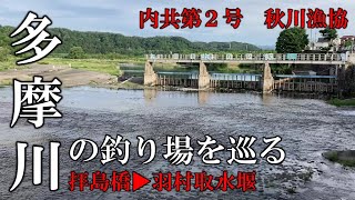 多摩川の釣り場を巡る　④拝島橋～羽村取水堰　内共第２号　秋川漁協