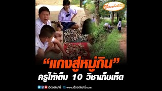 “แกงสู่หมู่กิน” ครูให้เต็ม 10 วิชาเก็บเห็ด