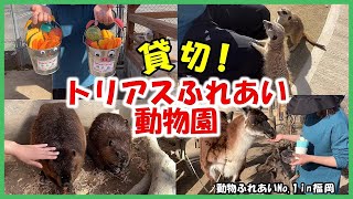 【トリアスふれあい動物園】動物ふれあいNo 1in福岡～貸し切ってみた!!～