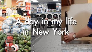 A day in my NYC life: ニューヨークで家事する１日　料理・洗濯・買い物