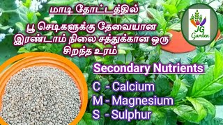 பூ செடிகளுக்கு தேவையான இரண்டாம் நிலை சத்துக்கள் calcium, magnesium, Sulphur உரத்தின் பயன்கள்