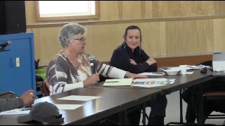 The Special Committee on Increasing the Representation of Women in the Legislative Assembly