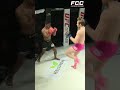 the pink panther returns at fcc34