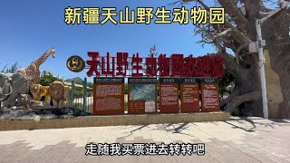 乌鲁木齐市，天山野生动物园