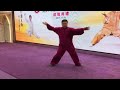 張東武 • zhang dongwu《陳式太極綜合拳》 chen style taichi chuan