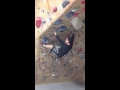 V1 purple cave route at factory