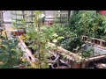 Tour CRMPI permaculture paradise