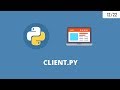 Python Network Programming 7 - Python Socket client ( Socket Programming )