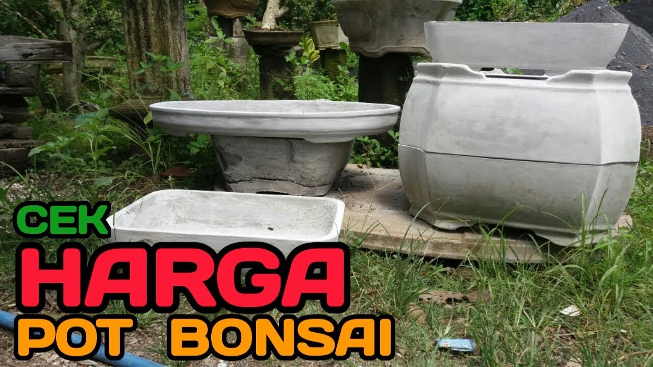 Info Baru Harga Pot Bonsai Beton