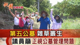 桃園有線新聞20220725-第五公墓雜草叢生 議員籲正視管理問題