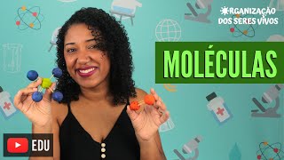 Aula Moléculas: o que são? Ep.2