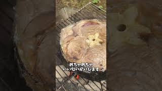 【炭火焼七輪】マグロのしっぽの丸焼き！　#beaf   #飯テロ  #bbq #shorts