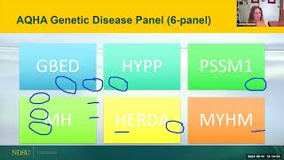 Genetic Disease Overview, Quarter Horses - NDSU Extension Horse Management Webinar Series