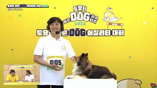 [#어질리티] 2023 토요타 바른 DOG 어질리티 대회 1회 풀버전 I 2023.06.24 방송