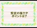 シナノキ（科の木）の性質と剪定・お手入れ　～葉がハートの形の木～　加須市・久喜市・幸手市の植木屋