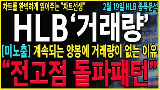 [HLB 에이치엘비] \