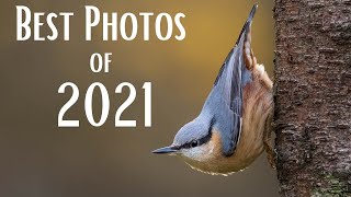 My Favourite 21 Wildlife Photos of 2021 | OM System | Relaxing Music \u0026 Nature