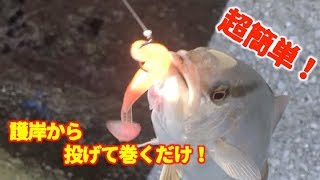 超簡単！護岸から投げて巻くだけ！